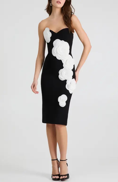HELSI Kaia Floral Appliqué Strapless Dress in Black/off White at Nordstrom, Size X-Small | Nordstrom
