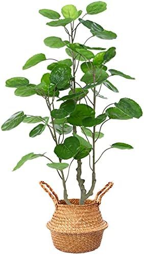 Kazeila Artificial Aralia Balfour Tree,Fake Greenery Plant,Come with Woven Seagrass Belly Basket,Ind | Amazon (US)