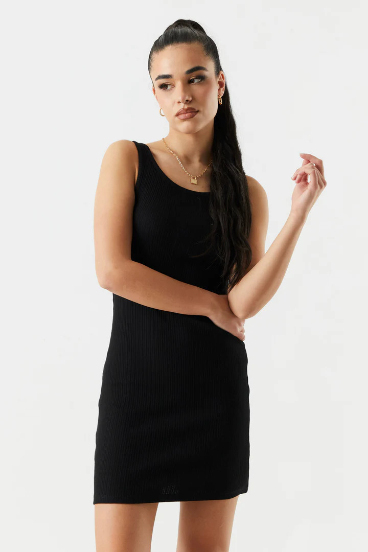 Ribbed Round Neck Bodycon Dress | Urban Planet