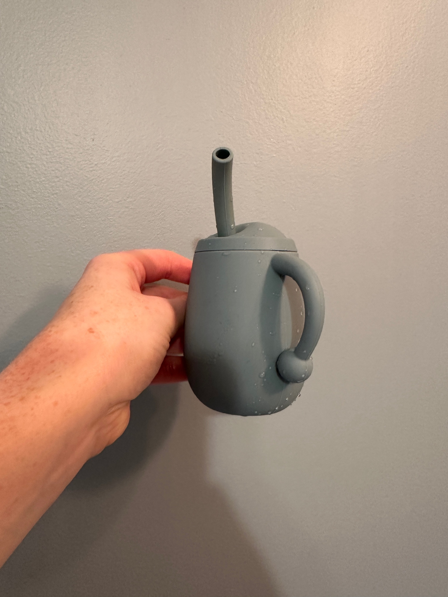 These silicone sippy cups are great for little ones/ spill proof/ baby/ 4 oz/ straws/ milk/ juice/ shatterproof 

#LTKGiftGuide #LTKBaby