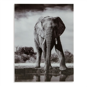 Signature Design by Ashley Glinyard Black & White Wall Art | Cymax