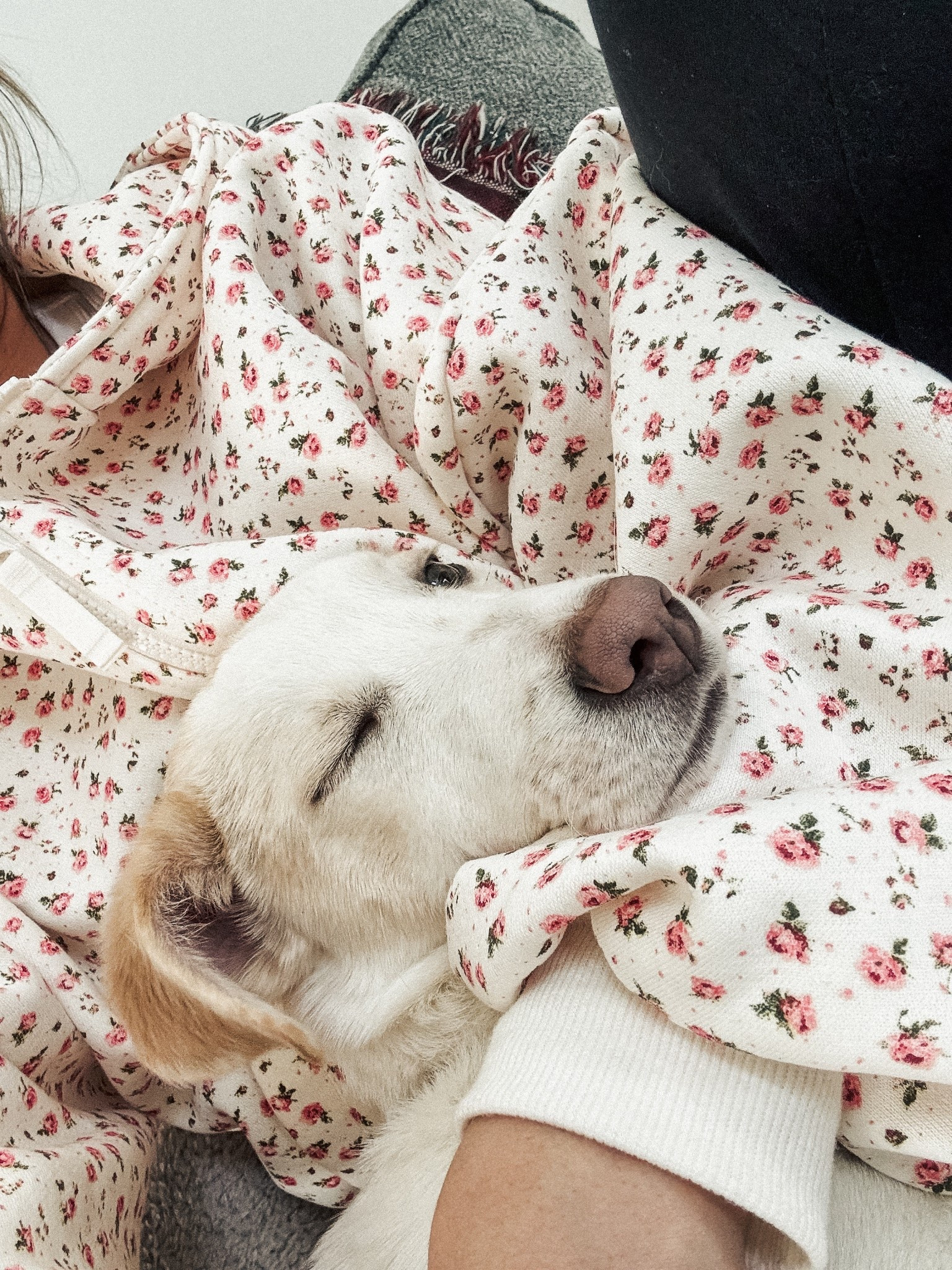 🐶🌸

#LTKfitnessgoals #LTKdayinmylife #LTKootd