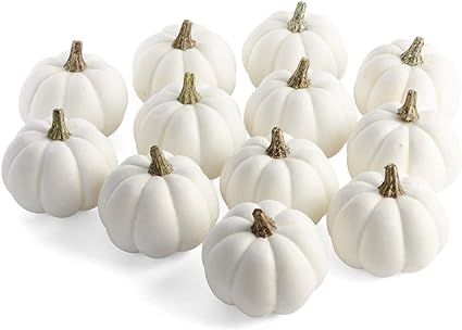 Factory Direct Craft Package of 12 Artificial White Baby Boo Pumpkins for Halloween, Fall and Tha... | Amazon (US)