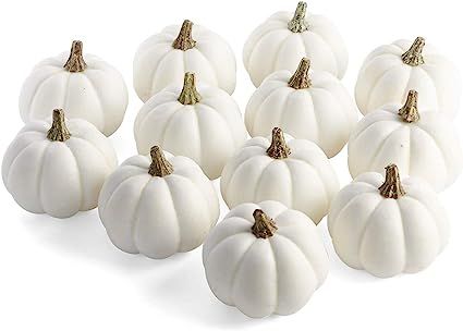 Factory Direct Craft Package of 12 Artificial White Baby Boo Pumpkins for Halloween, Fall and Tha... | Amazon (US)