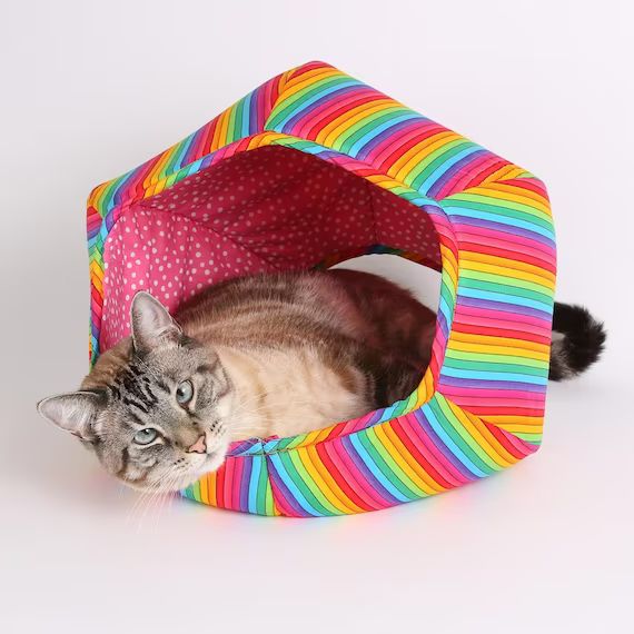 Rainbow Stripes Cat Ball Bed  A Cave Style Pet Bed With Two | Etsy | Etsy (US)