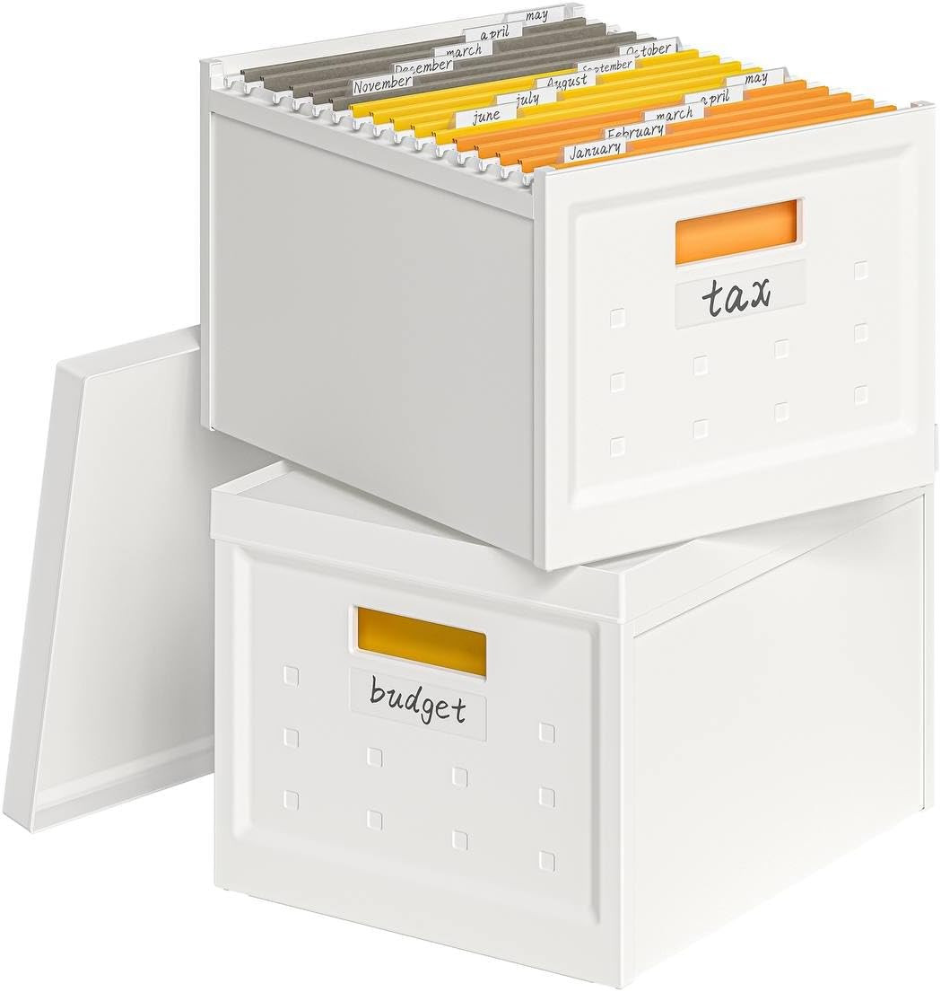 File Organizer File Box with Lid, Universal Hanging File Organizer Box, Letter/Legal Size File Fo... | Amazon (US)