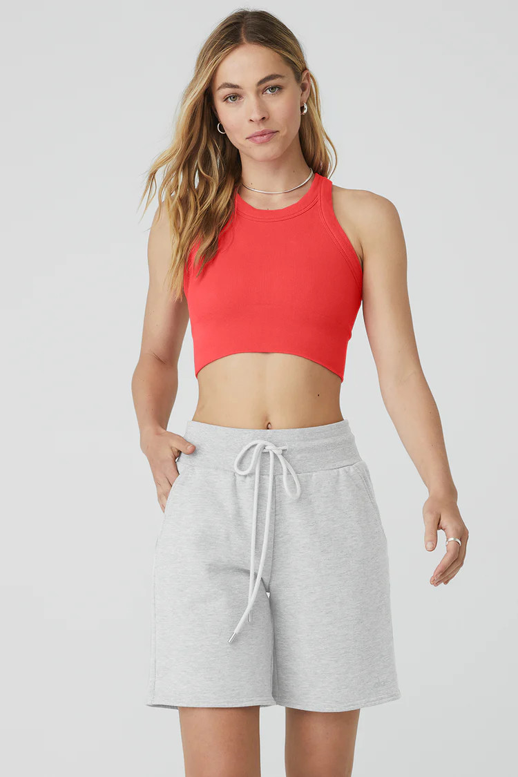 Seamless Delight High Neck Bra | Alo Yoga (US)