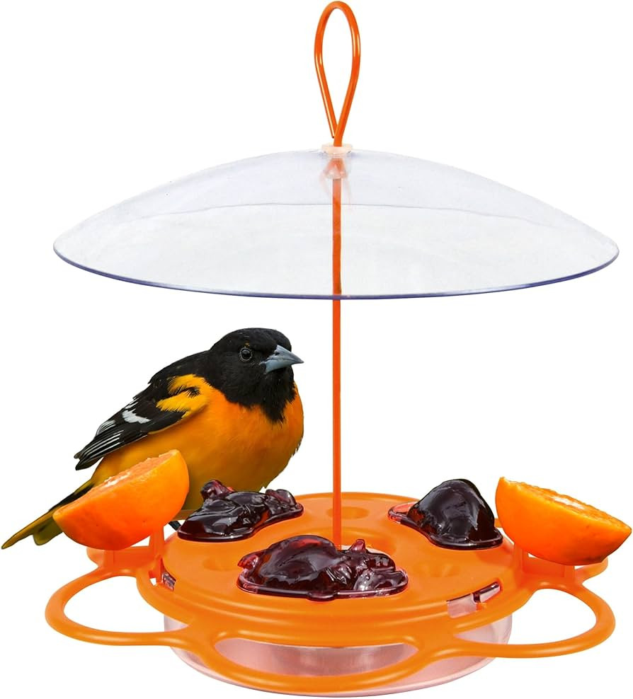 Nature's Way OFP1 All-in-One Oriole Buffet Bird Feeder, Orange | Amazon (US)