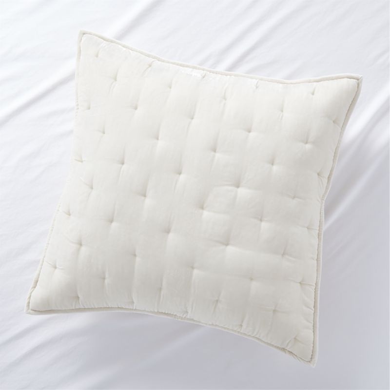 Juliet Birch Velvet Euro Sham + Reviews | Crate & Barrel | Crate & Barrel