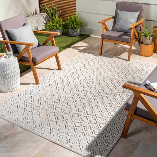 Jolivue Area Rug | Boutique Rugs