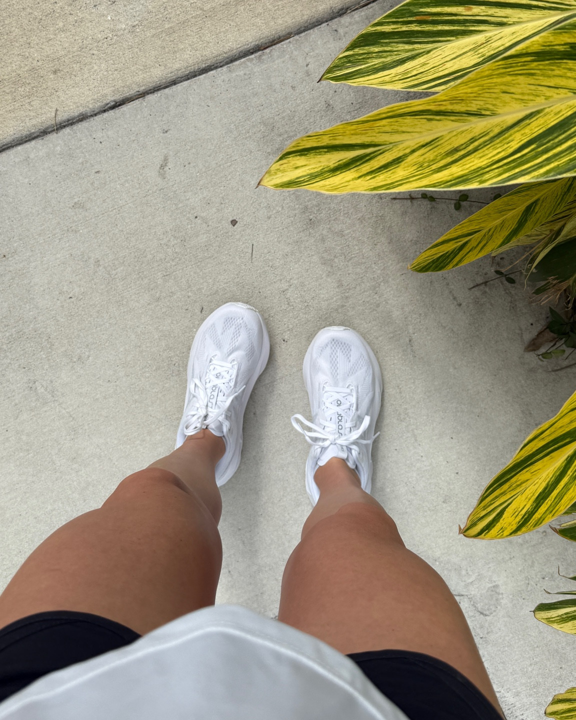Fav running shoes that I do all my marathon training in👟 asics novablast 5