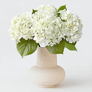 4PCS White Artificial Flowers Hydrangea 20" Real Touch Latex Faux Hydrangeas Silk Flowers with Gr... | Amazon (US)