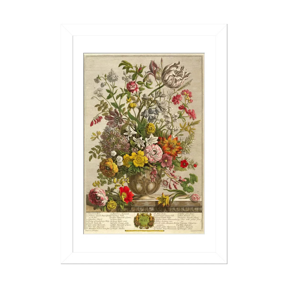 May, from 'Twelve Months of Flowers' by Robert Furber  - Wall Art Print - Framed Fine Art Paper | Wayfair North America