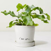 Click for more info about I Love You Planter - Hearth & Hand™ with Magnolia