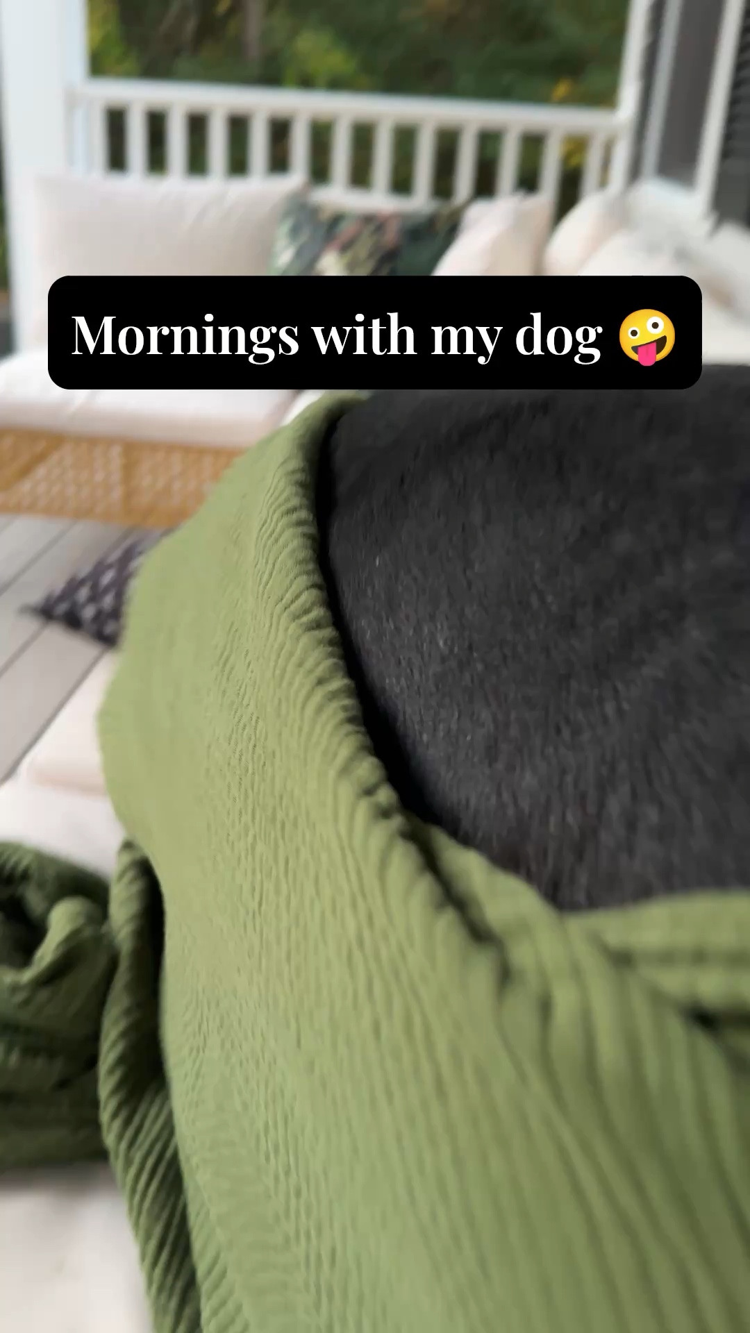 Manic nesting aside, putting this outdoor sectional on our front porch was the best decision I made all year! The throw pillow covers have held up really well and the muslin blanket that Franklin is tossing around is very cozy, even on chilly fall mornings like this.

#LTKPets #LTKHome #LTKFamily