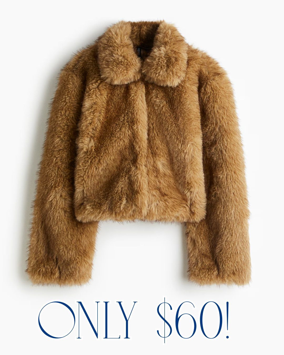cropped fluffy jacket! only $60! 

women’s beauty, fall outfits, makeup, clothing, bag, purse, dresses, on sale, winter,  travel outfit, maxi dress, coastal grand, southern style, classic style, preppy style, , women’s dresses, transition weather, trendy, stylish, cotton, puff sleeve, short dress, midi dress, maxi dress, classic style, preppy style, shoes, flats, ruffles, scallops, boots, denim, kids, children, women’s, adult, men, tuckernuck, h&m, target, dillards, nordstrom, belk, saks 

 #LTKFindsUnder100 #LTKStyleTip #LTKBeauty