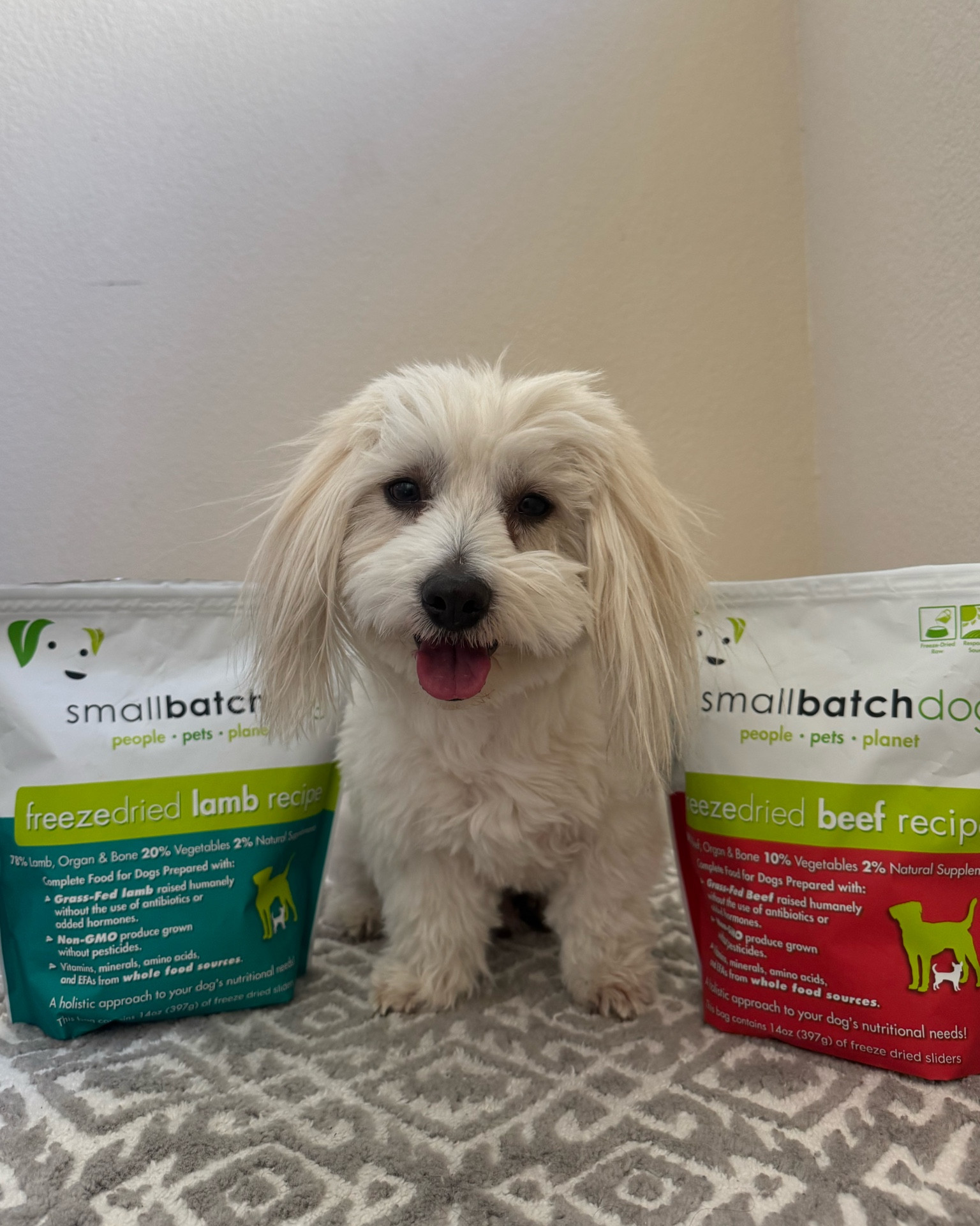 What we eat… Smallbatch freeze dried is one of our favorites.

#dogfood #smallbatch #LTKDog #LTKPet


#LTKGiftGuide #LTKTravel #LTKHoliday