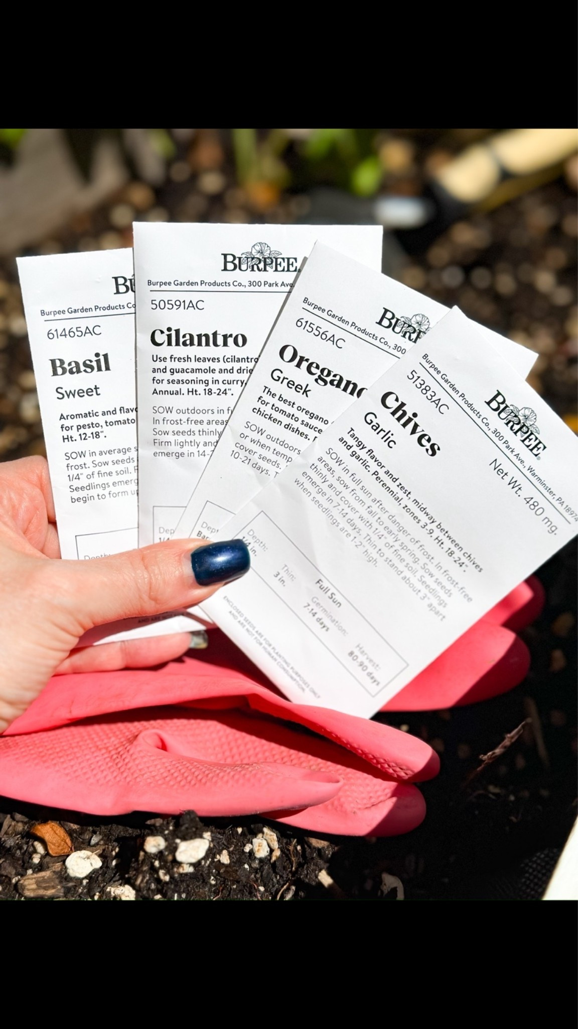 Must have seeds for the first time gardeners 🌱

#LTKMothersDay #LTKmomlife #LTKdayinmylife