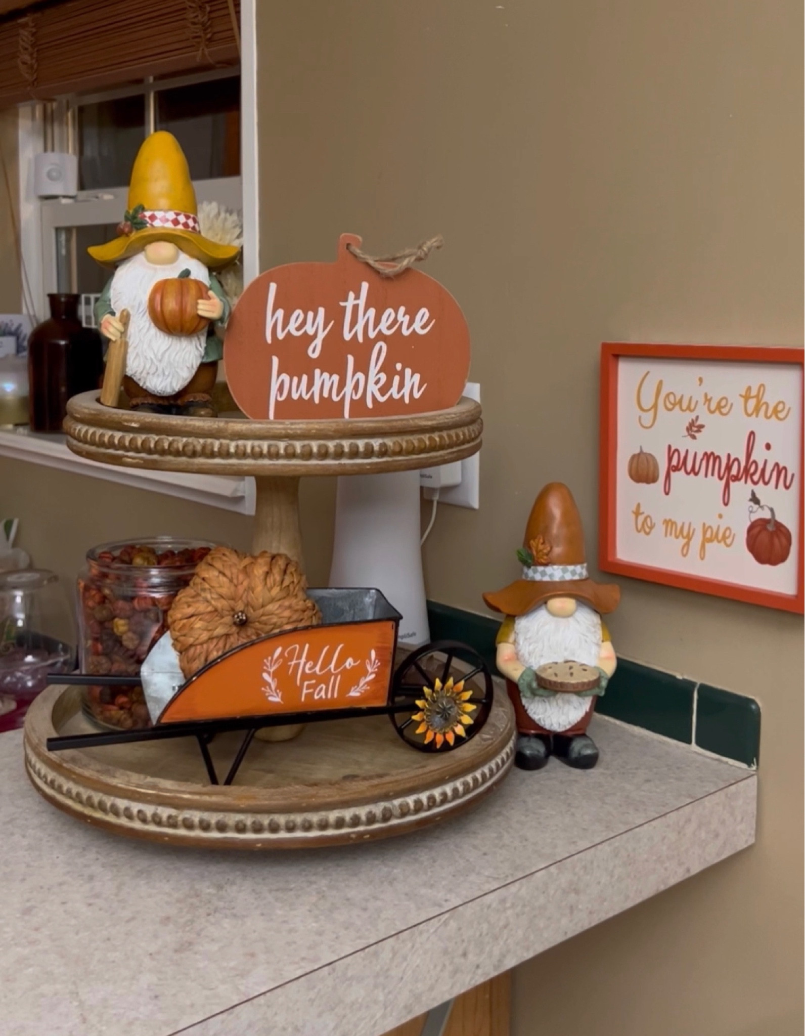 Fall tiered tray decorations 

#falldecor #tieredtraydecor #fallgnomes 

#LTKSeasonal #LTKfindsunder50 #LTKHoliday