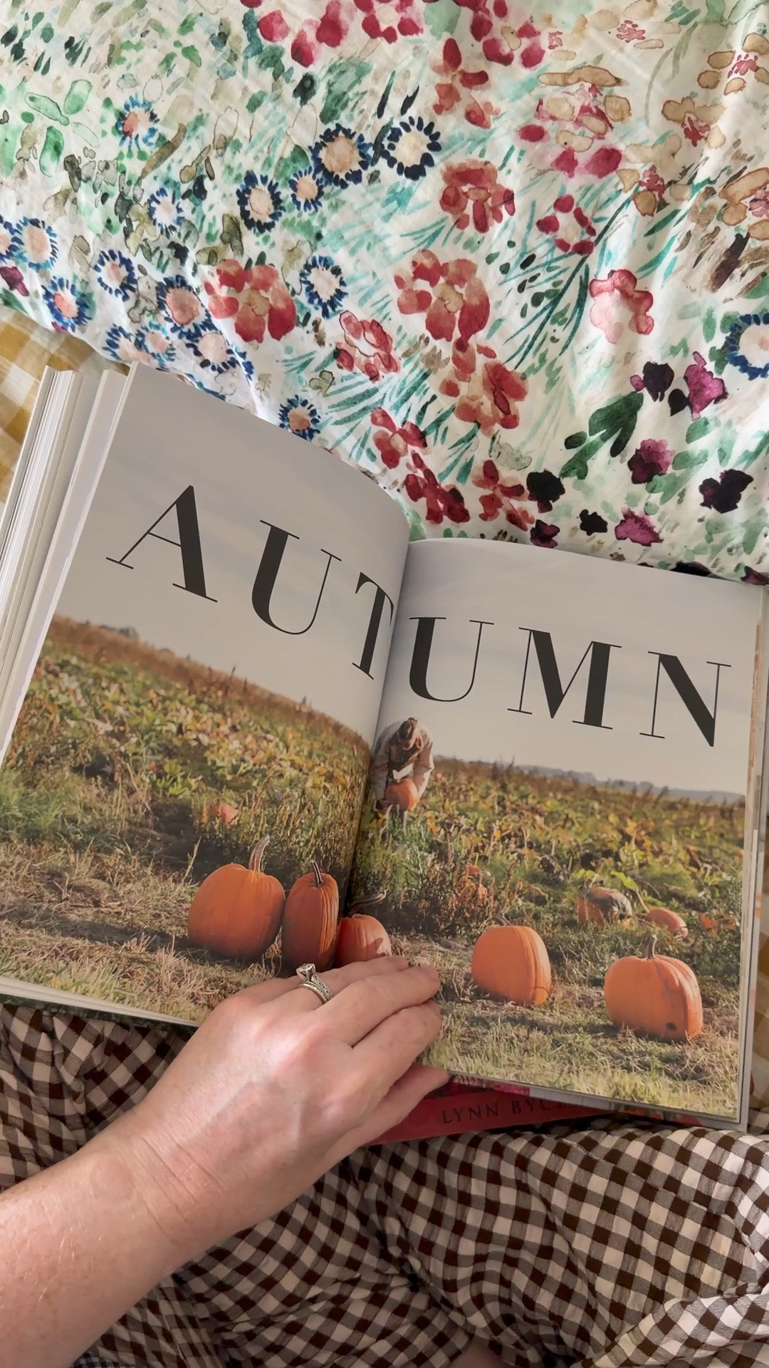 getting ready for fall
planting! 🎃

#LTKmomlife #LTKmorningroutine #LTKvlog