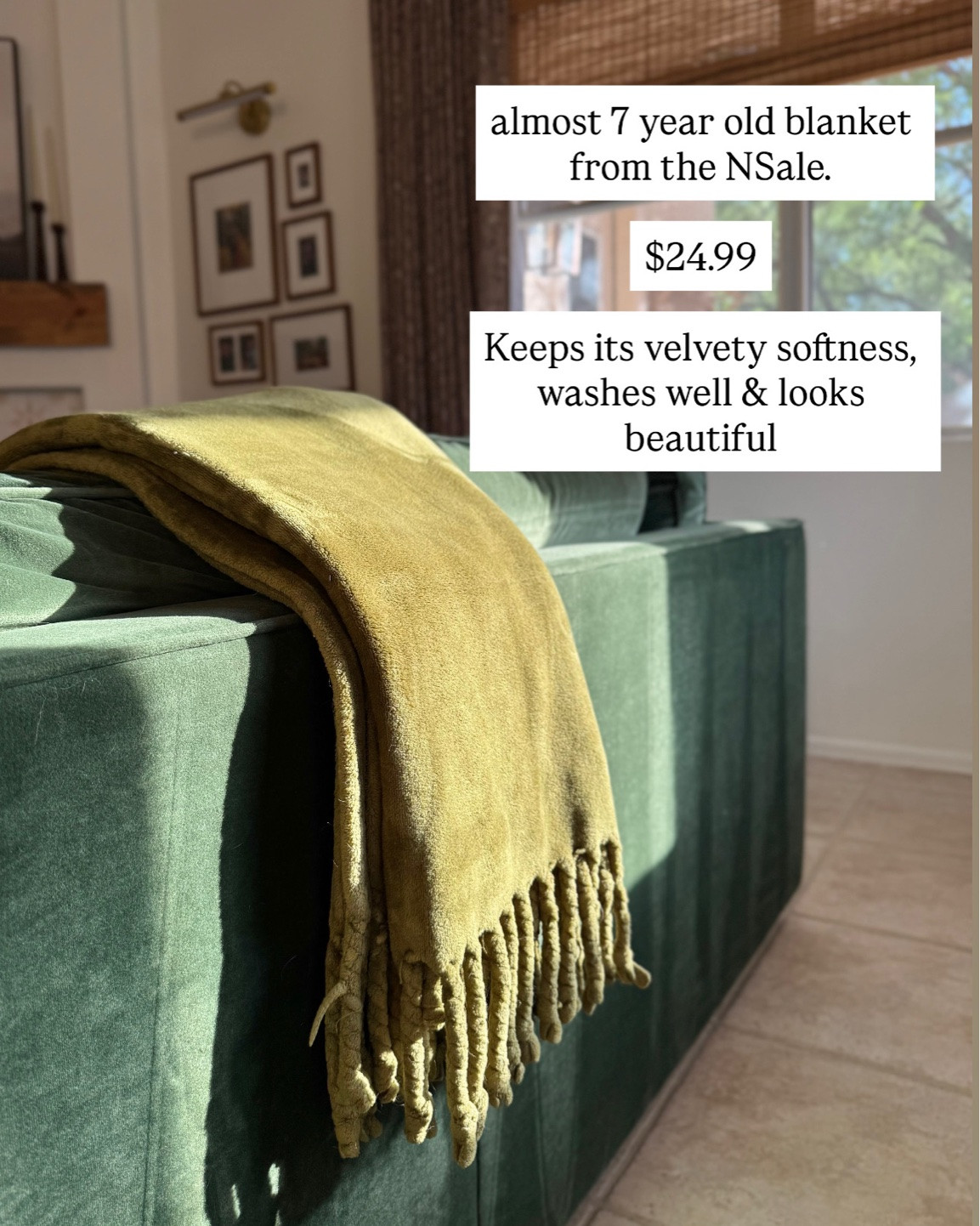 can you believe this blanket is almost 7 years old?! i’ve continuously purchased these blankets throughout the years as gifts because they are that good! they wash well and have maintained their velvet soft feel. this blanket lives on our living room couch because i know i can wash it over and over again!

this color is an older olive color, but there is another pretty green this year! 

sofa color is “essex”

#LTKSeasonal #LTKSaleAlert #LTKHome

#LTKSaleAlert #LTKHome #LTKSeasonal