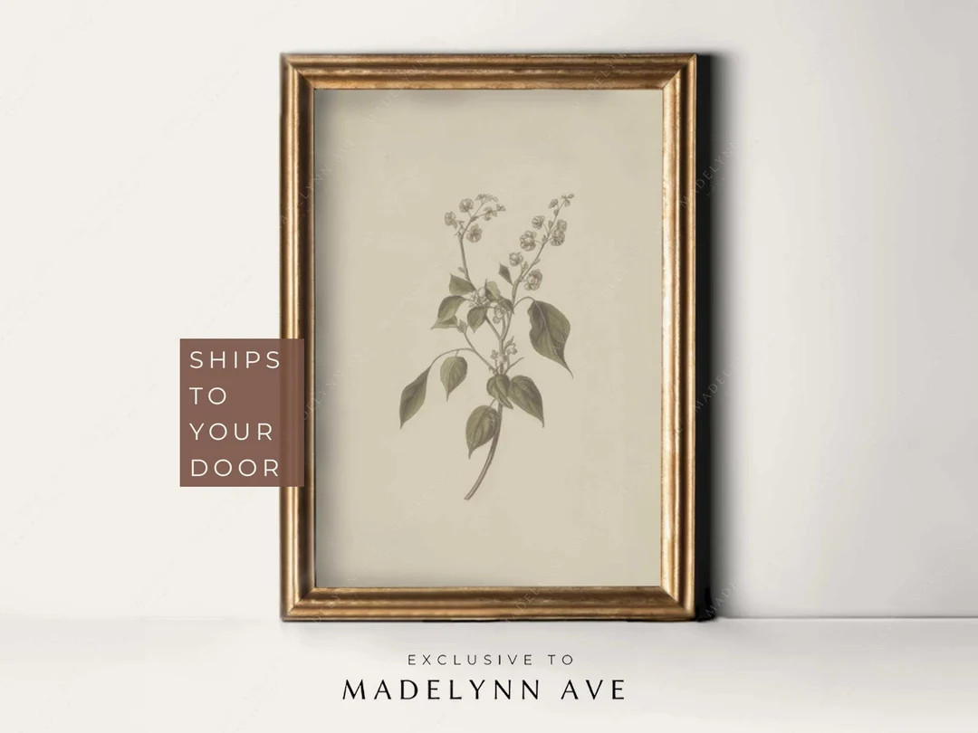 Vintage Botanical Art, Botanical Drawing, Botanical Poster, Plant Drawing, Botanical Painting, Cl... | Etsy (US)