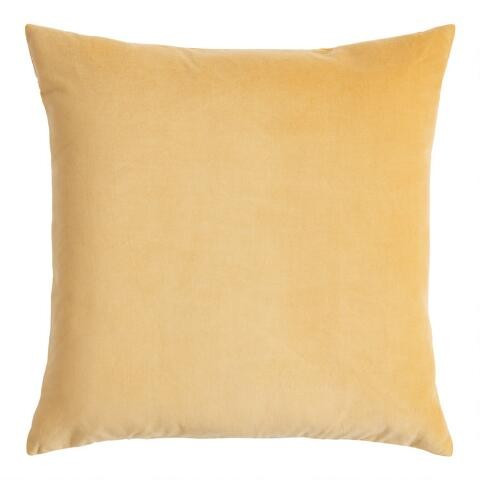 Velvet Throw Pillow | World Market