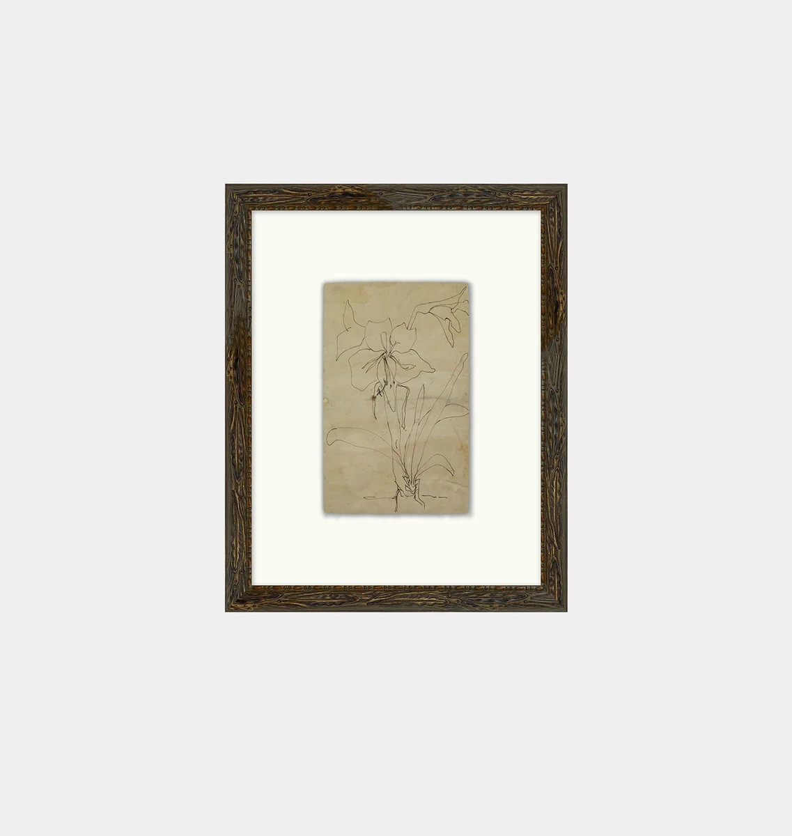 Flower Drawn 1 Framed Print | Shoppe Amber Interiors | Amber Interiors