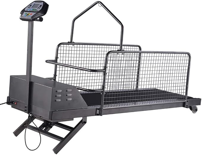 Dog Treadmill, Fitness Pet Dog Running Machine for Small, Medium, Large Dogs self propelled Indoo... | Amazon (US)