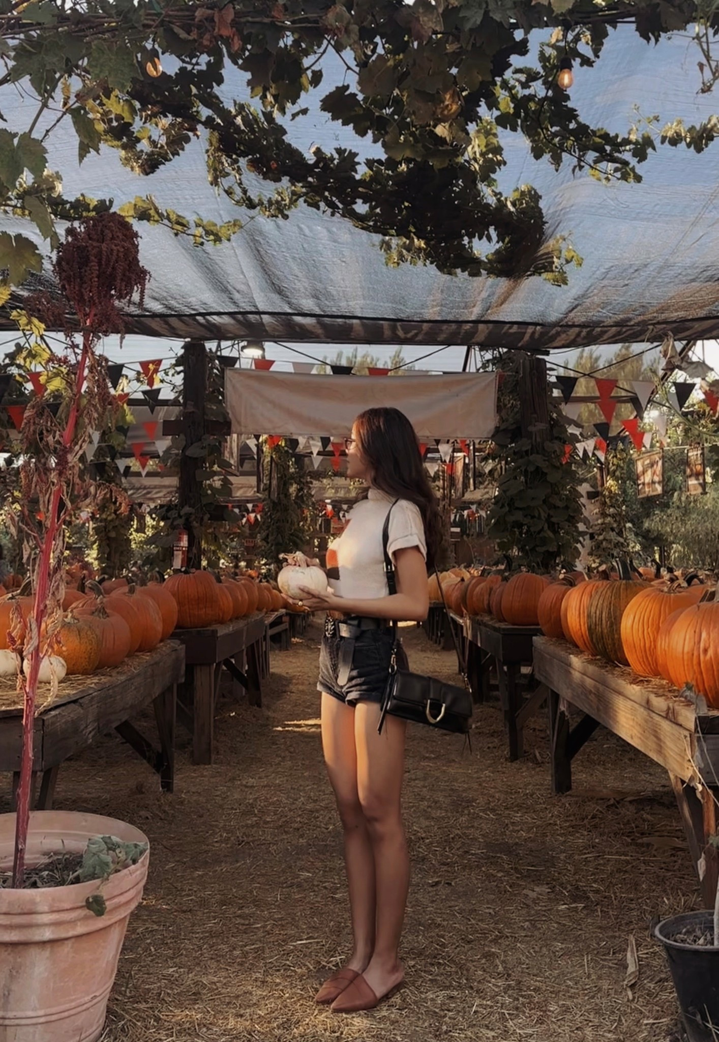 Because did you really go to the pumpkin patch if you didn’t post about it? 🎃

For this look, I styled high-waist shorts with a ribbed mock-neck tee - an easy pairing that instantly elevates without overcomplicating. Linking several options under $100 below!

For reference, I’m 166.37 cm/5’5.5” ft & 105 lbs. Top is a size S and shorts are an XS.