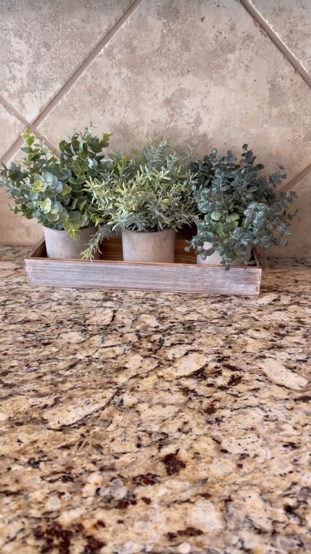 This little #farmhouse #rustic triple faux planter is pulling double duty by not only serving as a cute decor piece, but also hiding those pesky white electrical sockets! 🙌❤️🤩

WooHoo! Winning! Do you have wall sockets in your kitchen like these? 🤷‍♀️
#farmhousedecor #planterbox #fauxplants #fauxplant #rusticdecor

#LTKhome #LTKstyletip #LTKFind