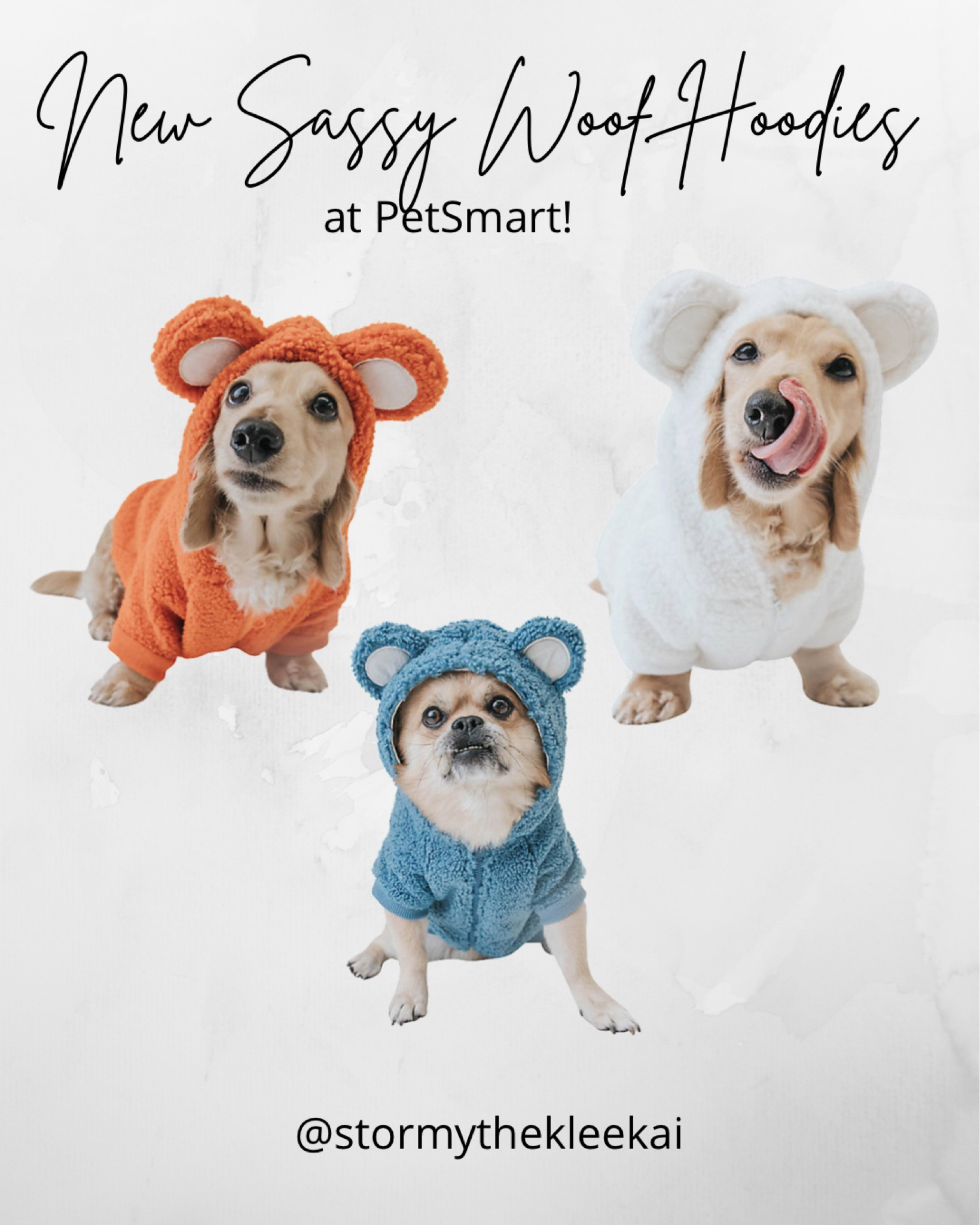 New Cozy Sherpa Bear Hoodies for Dogs! 

#LTKSeasonal #LTKHalloween #LTKunder50