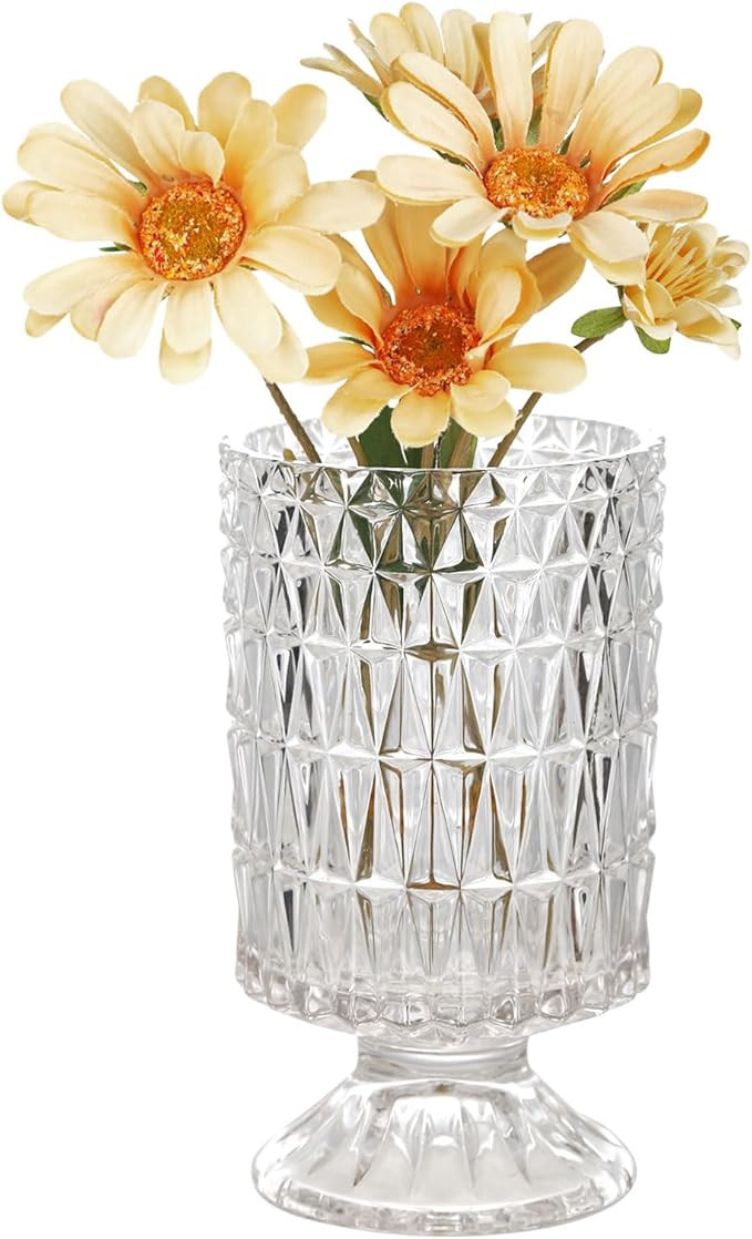 VanEnjoy Pedestal Base Glass Vase Wide Mouth vases for Flowers, Embossed Flower Vase Decorative f... | Amazon (US)