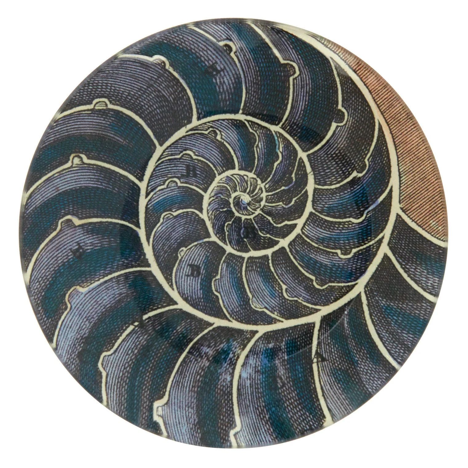 Blue Nautilus Plate | Jayson Home