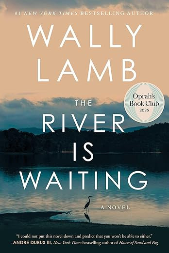The River Is Waiting (Oprah's Book Club): A Novel | Amazon (US)