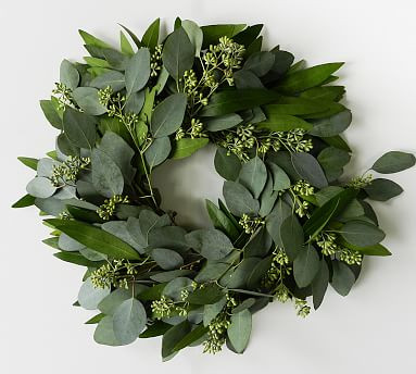 Fresh Bay Leaf and Seeded Eucalyptus Wreath | Pottery Barn (US)