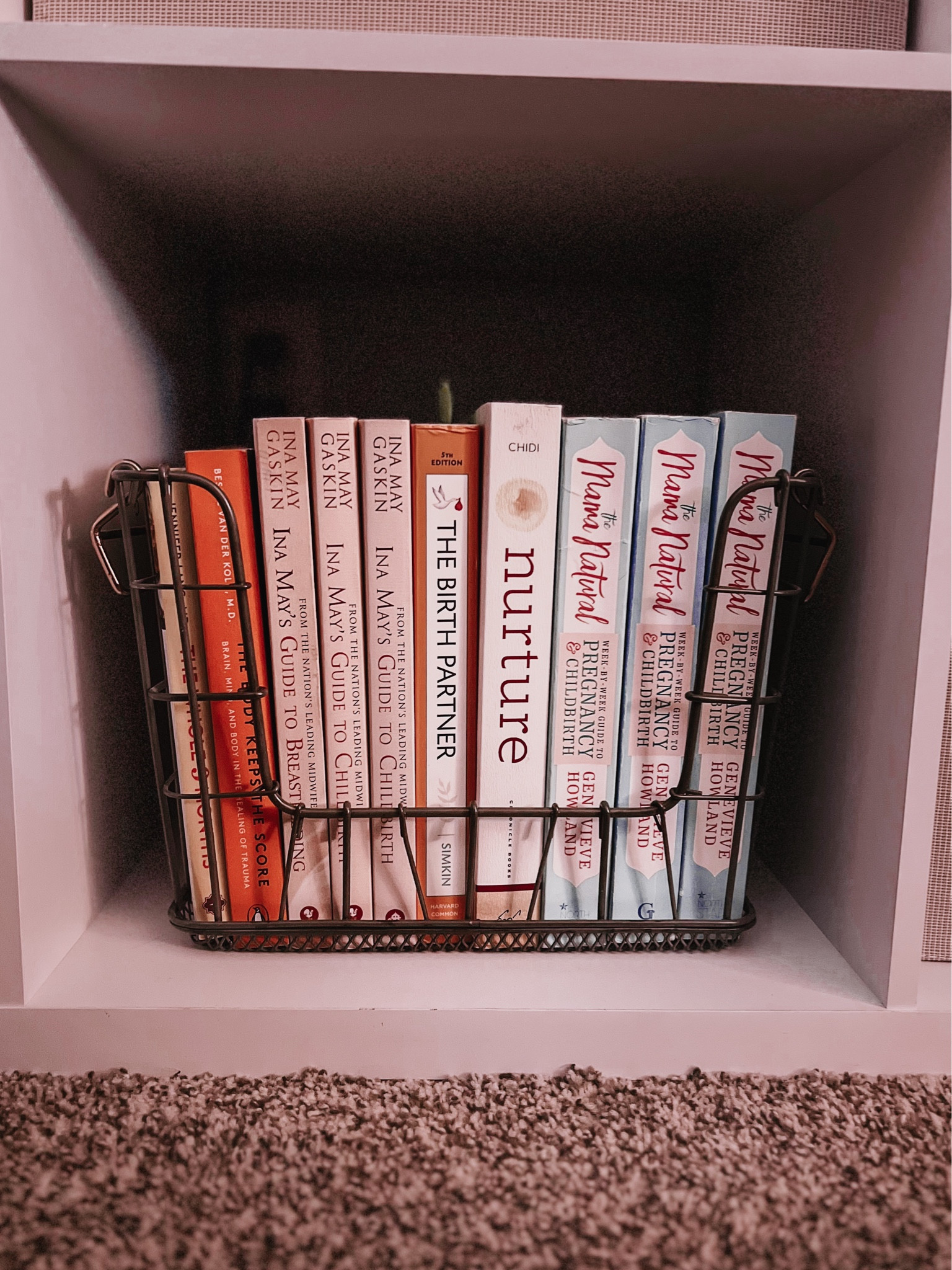 Pregnancy, birth, postpartum and breastfeeding library! 

Book recommendations, doula, informed consentt



#LTKbaby #LTKfamily #LTKbump