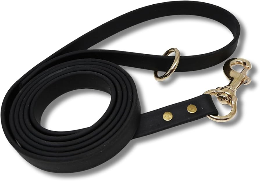 Gummy Dog Leash, Biothane, Dog Training Leash, Waterproof, Weatherproof, 6 Foot Length for Small,... | Amazon (US)