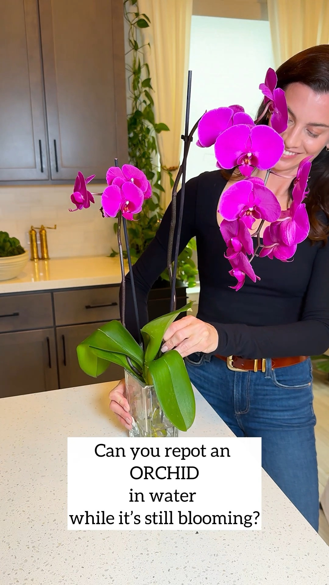 A big reason I wanted to transition this orchid to water culture was the visual appeal. 🌸 Displaying an orchid in a clear glass dish feels far more refined than keeping it tucked away in a ceramic pot. The transparency highlights the roots and the natural structure of the plant, turning it into part of the decor rather than just another container plant.
I decided to make the change while it was still in bloom, and it adapted beautifully. Now it feels more like a living centerpiece than a typical potted orchid. 🌿✨
Comment ORCHID and I’ll send you the links.

#orchid #orchidcare #waterculture #houseplants #plantcare

orchid in water | water culture orchid | orchids in glass vase | orchid water method | phalaenopsis orchid care | orchid root care | growing orchids in water


#LTKSpringSale #LTKBeauty #LTKHome