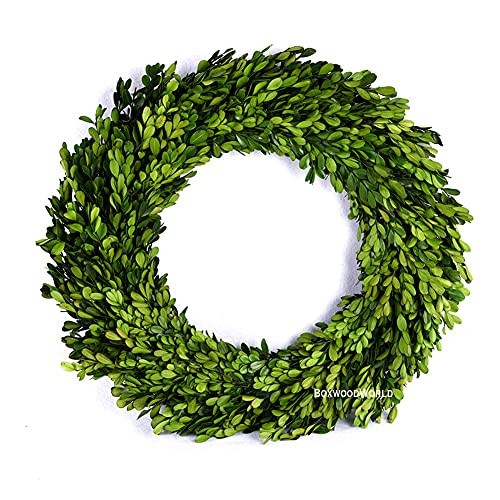 Boxwood Wreath Large 17 inch Preserved Nature Real Boxwood Wreath Home Decor Stay Fresh for Years Wreath for Christmas Thanksgiving Wedding Party Home Indoor Decor | Amazon (US)