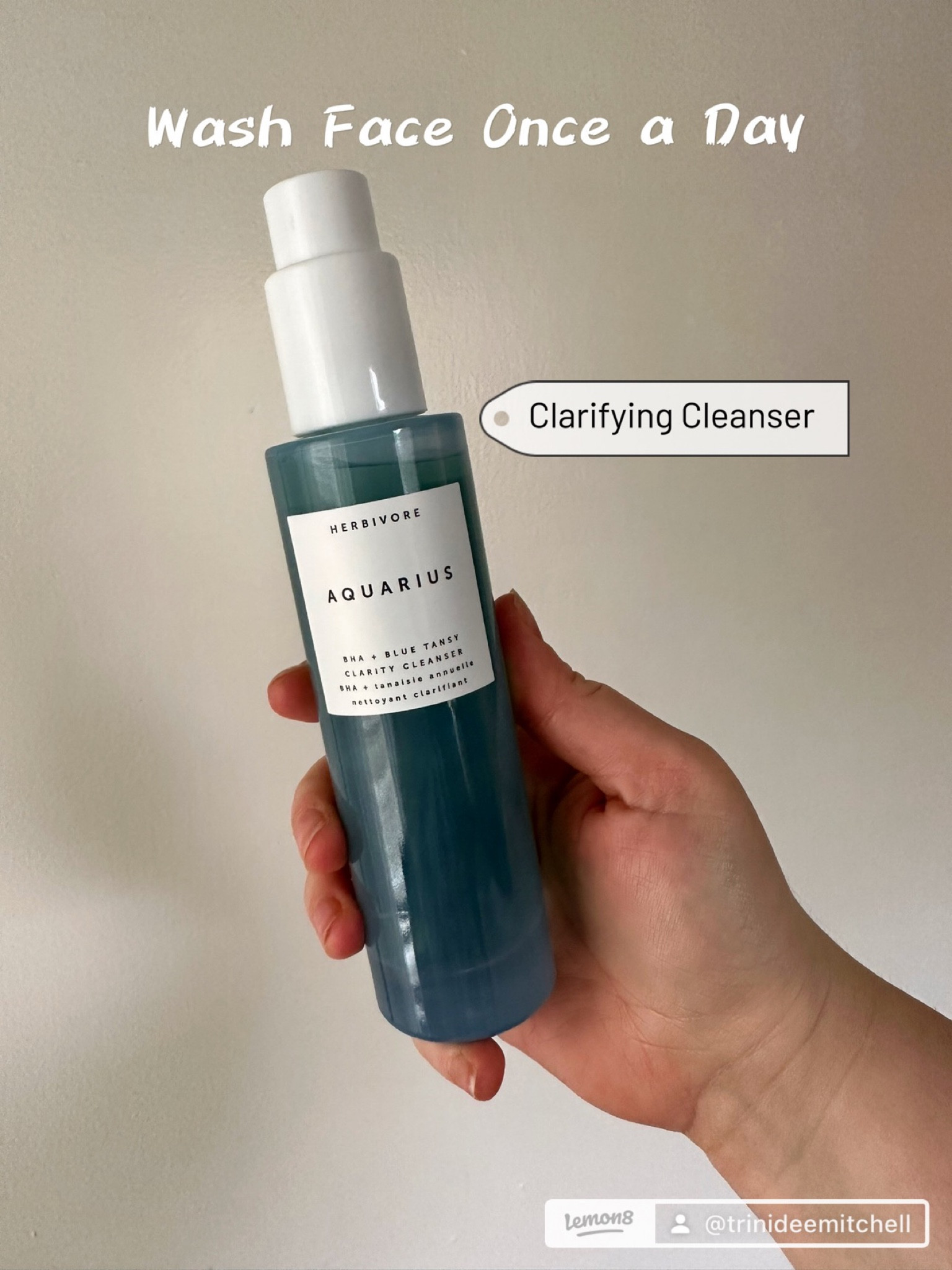 Herbivore botanical clarifying cleanser 

#LTKGiftGuide #LTKFestival #LTKSeasonal