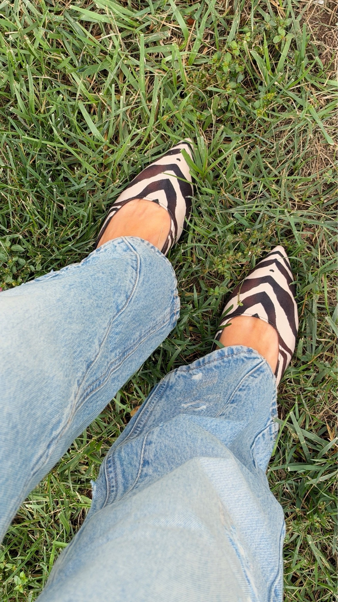 @Target  new animal print shoes for fall

#LTKootd #LTKdayinmylife #LTKSeasonal

#LTKootd #LTKdayinmylife #LTKSeasonal