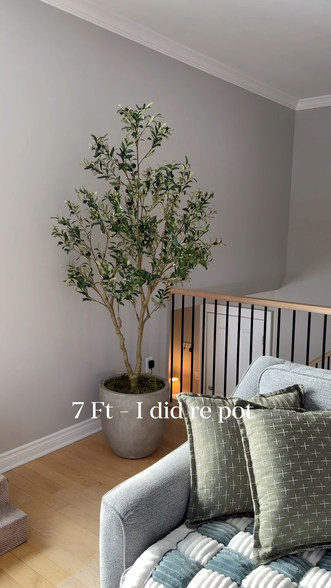 I love that you have the options for a 6, 7, or 8 ft! I put the pot into a bigger pot to give it a larger effect. Love it!
#olivetree #fauxtree #fauxplants #homedecor

#LTKSaleAlert #LTKHome