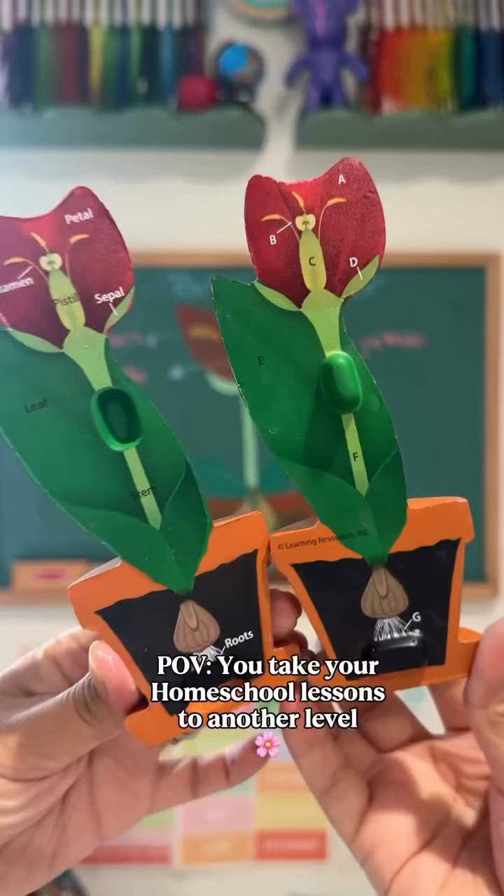 POV: You take your homeschool lessons to another level 🌸

Today we explored las partes de la flor using hands-on learning + chalk art, and it made such a difference in understanding.

When kids can see it, touch it, build it, and draw it — the lesson sticks.

We worked on:
• Vocabulary in Spanish
• Science concepts
• Fine motor skills
• Visual memory

Homeschool doesn’t have to be complicated — just intentional.

Comment FLOWER and I’ll send you the materials we used 🌿

#HomeschoolMom #BilingualHomeschool #LearningThroughPlay #HandsOnLearning #HomeschoolScience