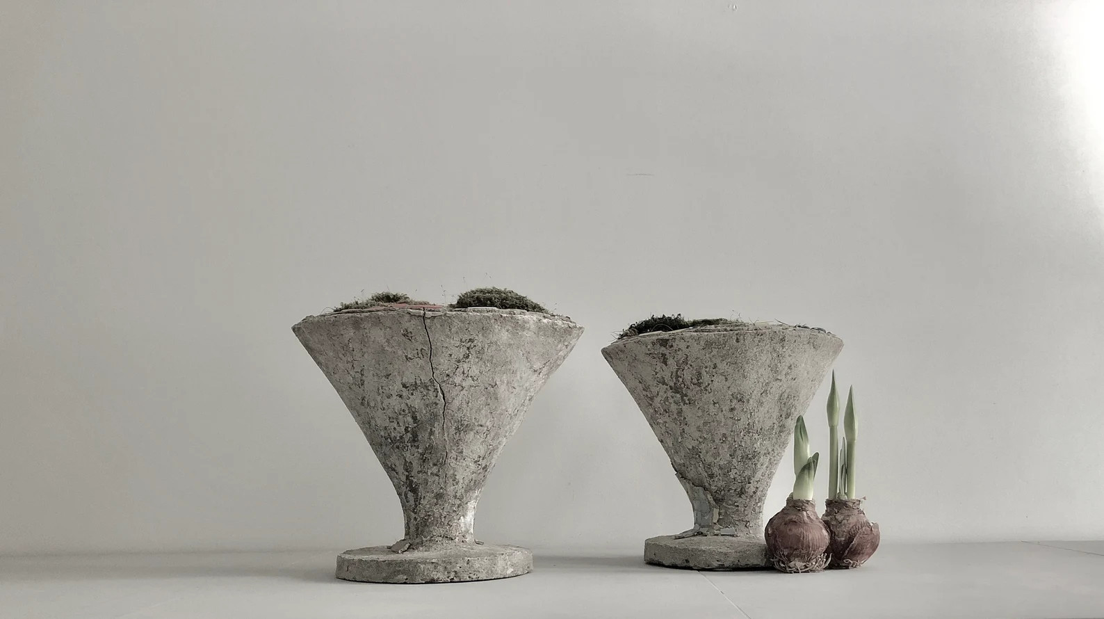 Read the full title
    Pair of French Funnel Urns | Etsy (US)