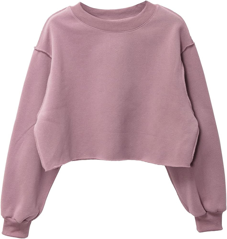 Amazhiyu Women Cropped Sweatshirt Long Sleeves Pullover Fleece Crop Tops | Amazon (US)