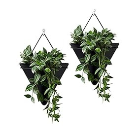 Spuik Large Ceramic Wall Planter... | Amazon (US)