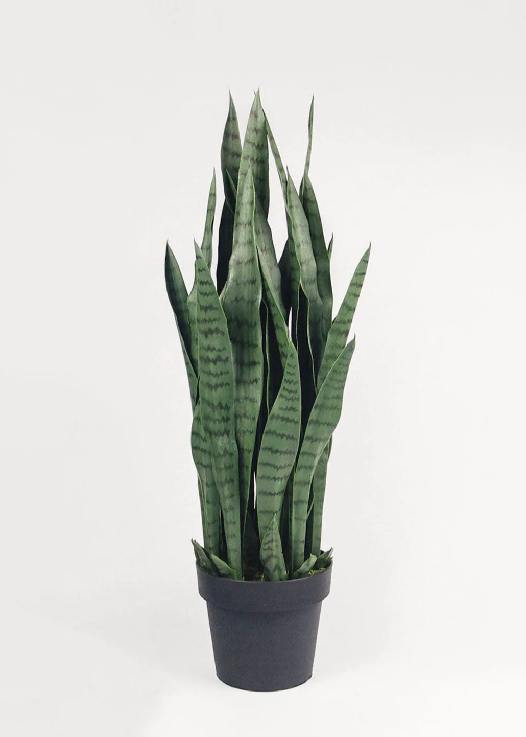 Snake Plant in Pot | UV Protected Fake Outdoor Plants at Afloral.com | Afloral