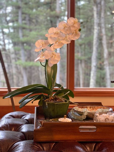 Real or faux? The orchid leaves are real but the floral orchid stem is faux. Your orchid plant will look like it’s blooming all year round. 
kimbentley, home decor, living room, flowers, Amazon

#LTKunder50 #LTKwedding #LTKhome