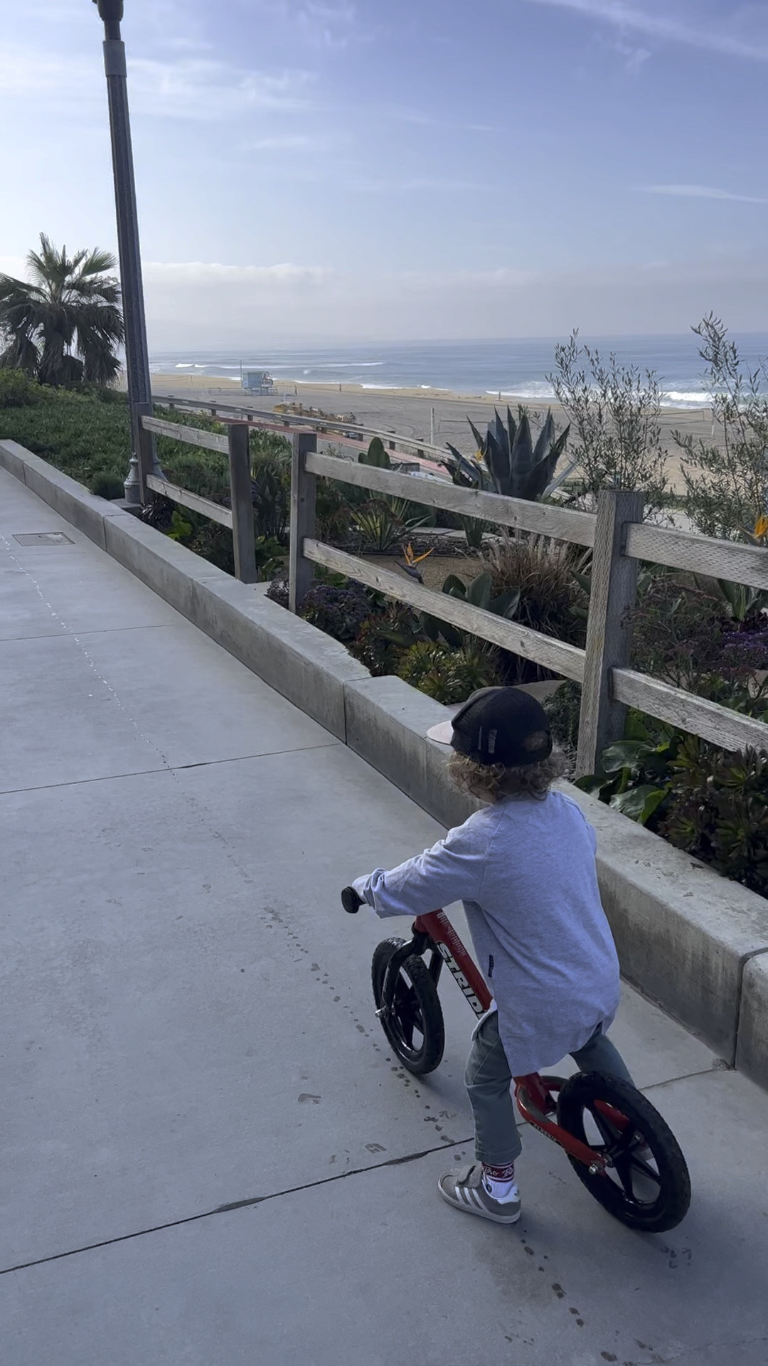 This has been the best first two wheeled bike for our 2 year old. It’s really helped him to learn balance. We now use this as a way to get around more than our stroller! He absolutely loves it. ❤️ I would definitely suggest waiting until after your little one is 2 for this product (age 2-5)  

Toddler bike, kids bike, balance bike

#LTKBaby #LTKKids #LTKxWalmart